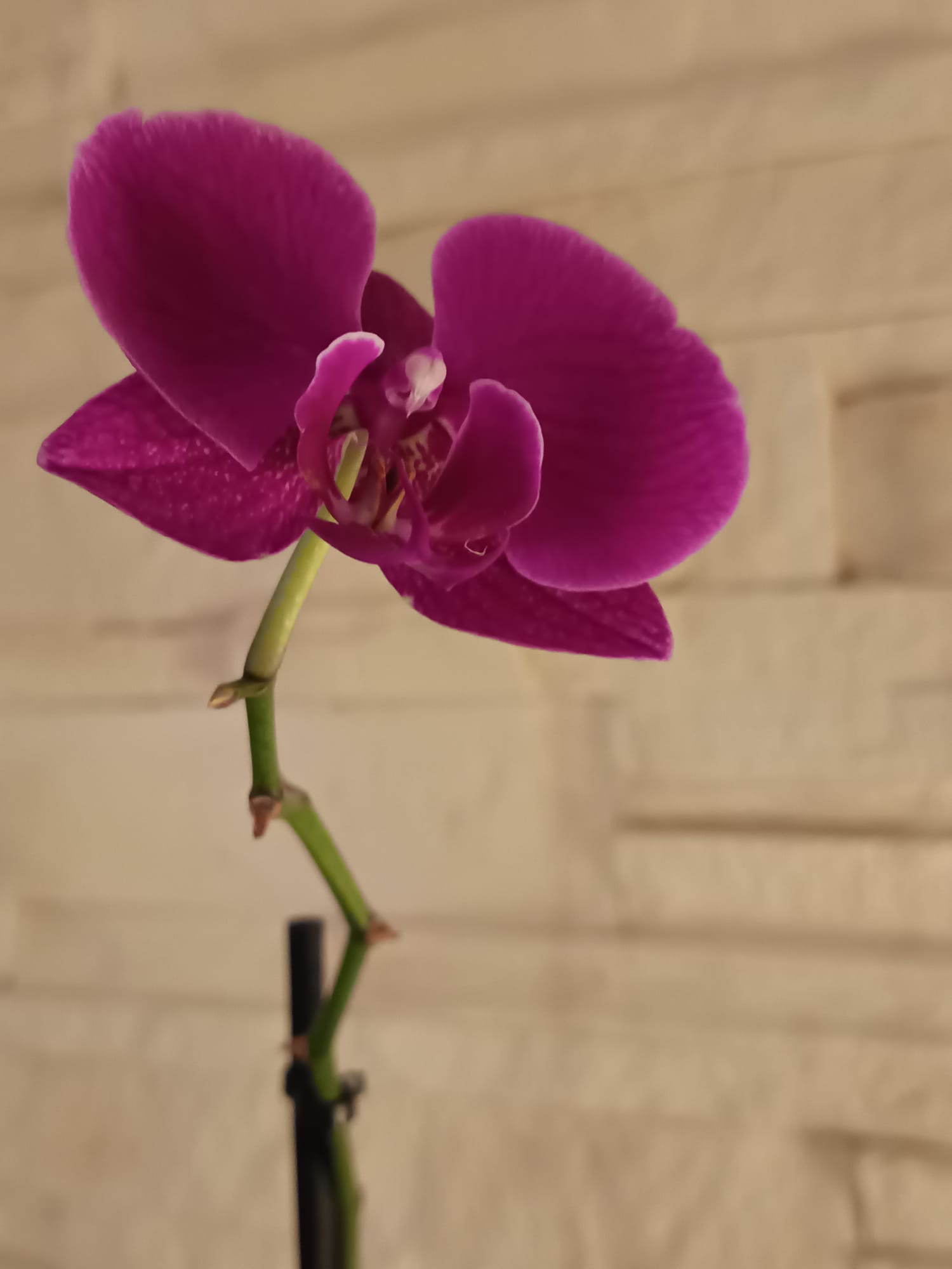 bioenergoterapia uzdrawianie duchowe medytacja