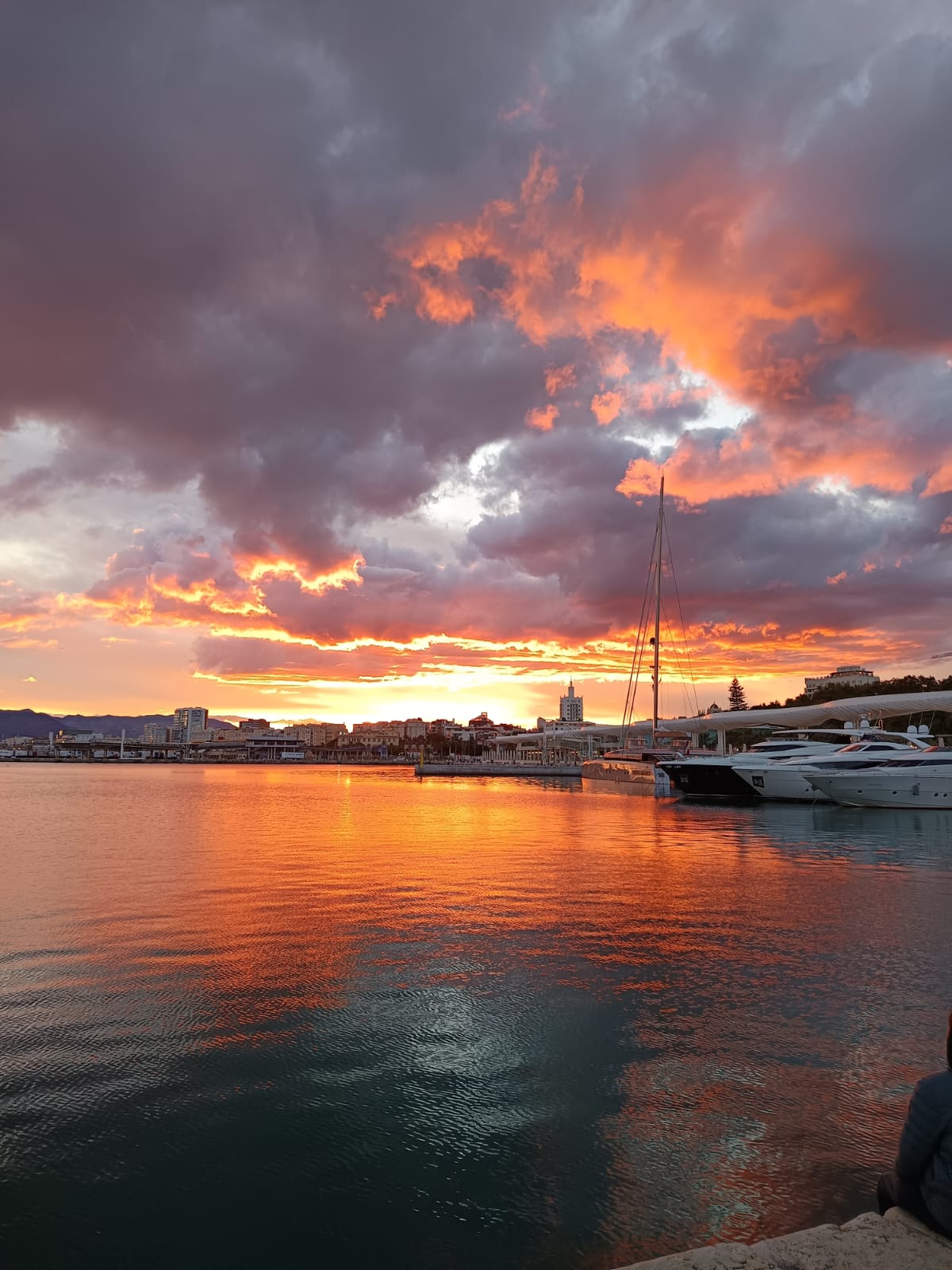 bioenergoterapia jasnowidzenie